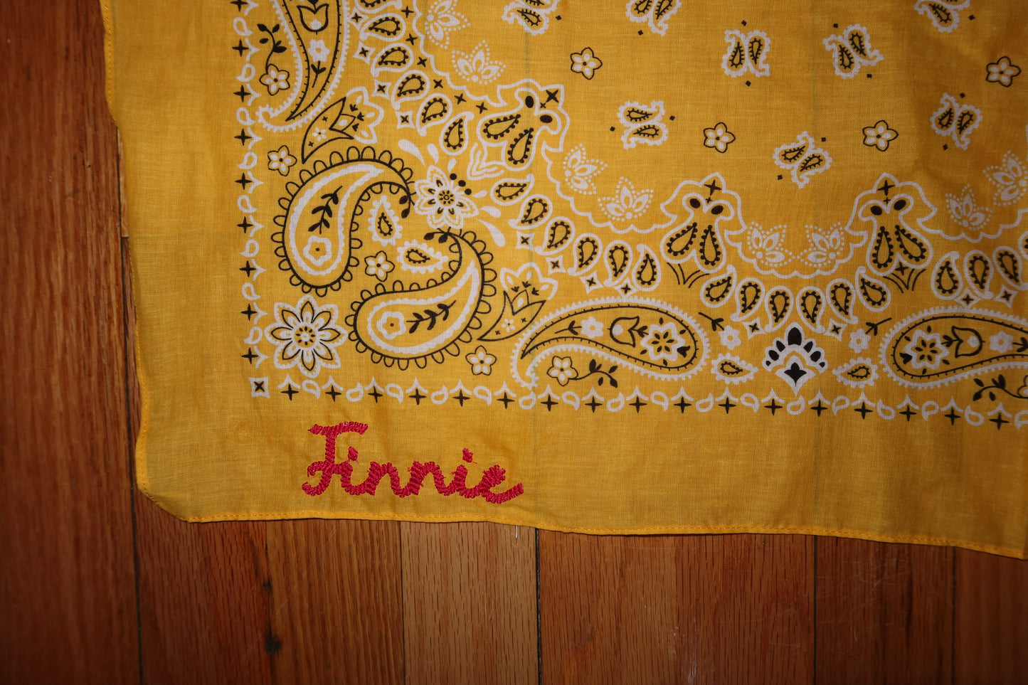 Custom Rope Design Dog Bandana