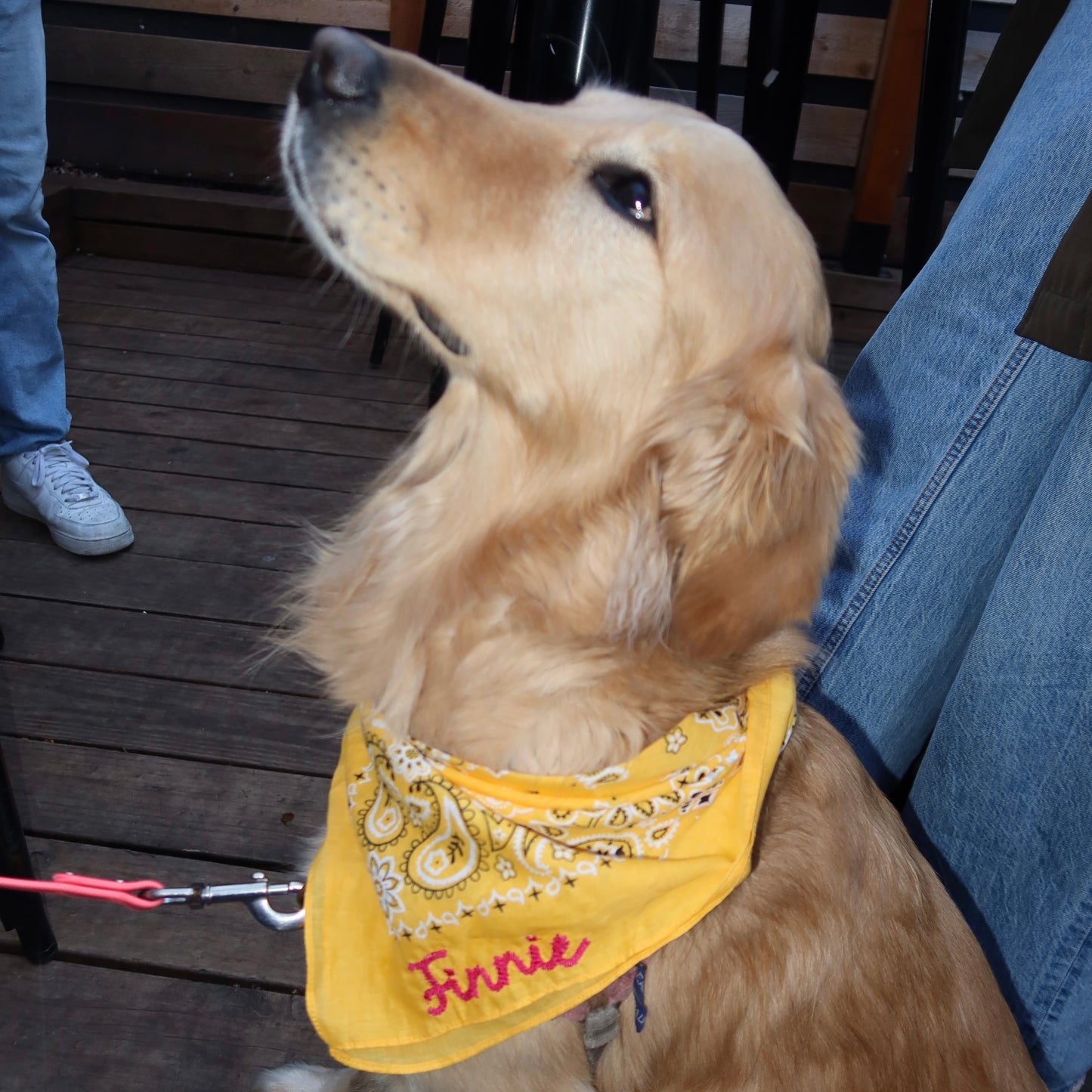 Custom Rope Design Dog Bandana