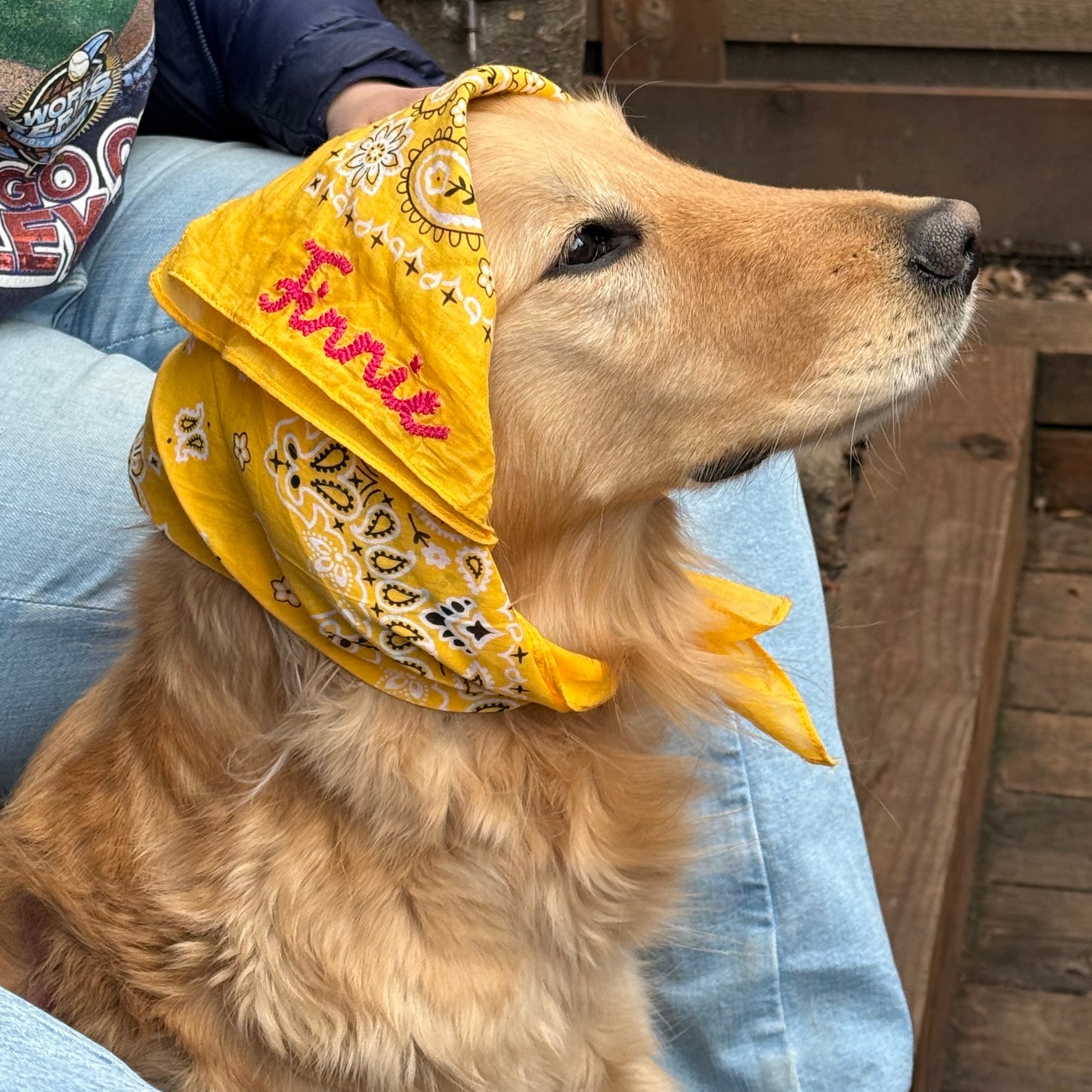 Custom Rope Design Dog Bandana