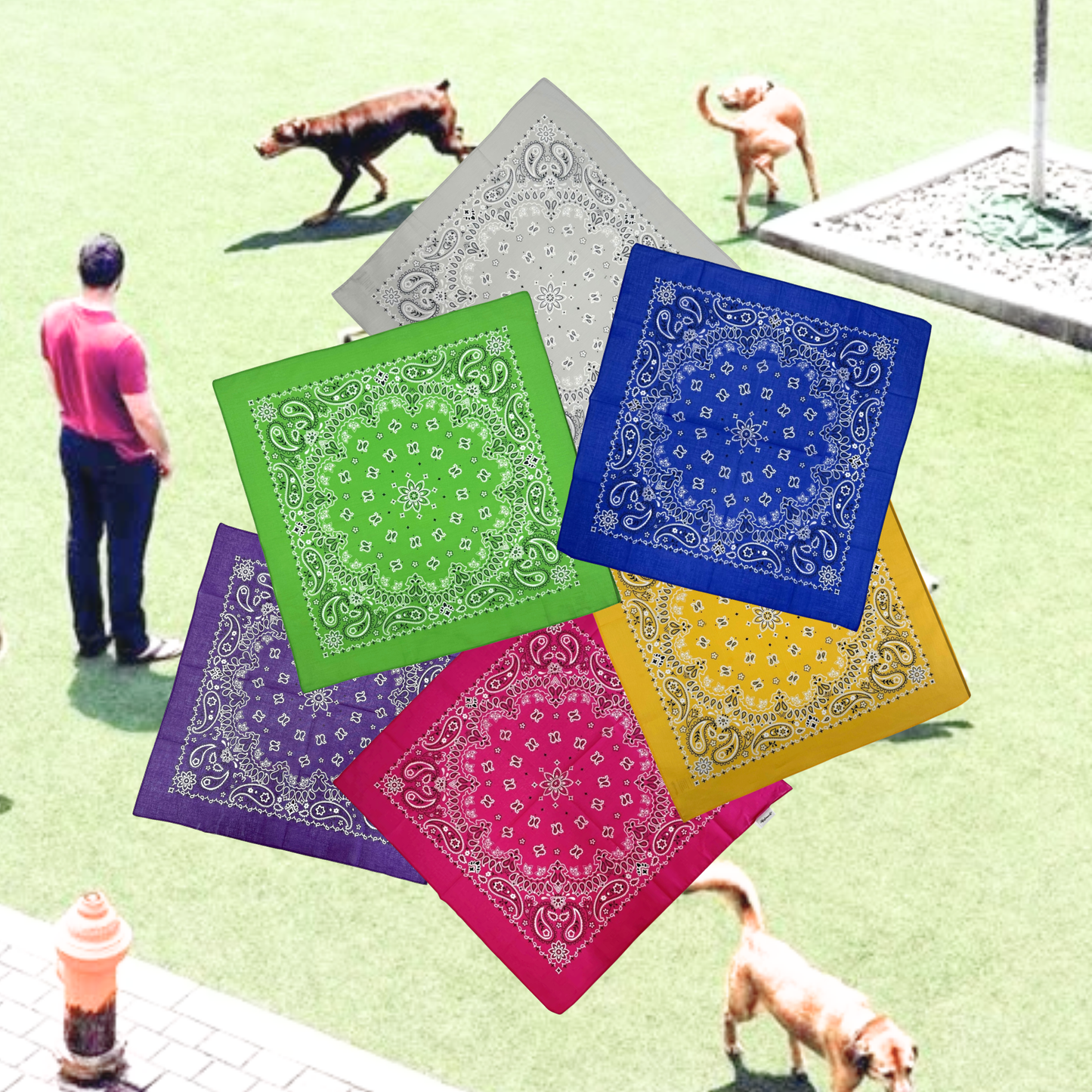 Custom Rope Design Dog Bandana